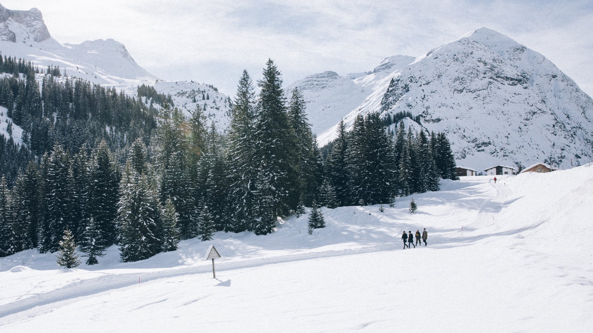Vier Personen wandern entlang eines traumhaft verschneiten Waldes in Zürs © Daniel Zangerl - Lech Zürs Tourismus